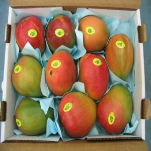  Mangue Coloree Du Mali - fruits et légumes nous disposons de grandes quantités de mangues pour la campagne de avril a juillet 2020.recherchons clients en europe et au maghreb .il s'agit des variétés kent colorées  par bateau et  par avion