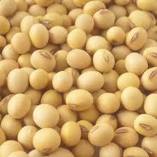  Soja Pour Aliment De Betail - céréales besoin de soja en grade quantite --regulierement --pour le senegal--besoin de soja de qualite--si prix et qualite interessatnt,  achat immediat----