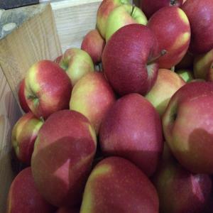  Pommes Polonais - fruits et légumes nous sommes une coopérative fruitière située au centre de la pologne. nous vous proposons nos pommes de tous calibres confondus au prix unique de cagette de 13 kg à 0, 33 euro le kg cartons de 18 kg au prix de 0, 37 euro le kg palbox de 300 kg au prix de 0, 27 kg sauf pour l
