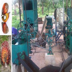  Unité De Production D’huile De Palme - matériels machines cette petite unité de transformation vous permettra de vous installer au plus pret de vos plantations palmiste et de produire vous meme votre huile de palme.--capacité de pressage du fruit de palme (pulpe) - 2 tonnes par heure--