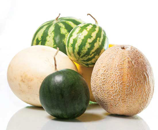  Pasteque, Melon, Cantaloup, - fruits et légumes bonjour,  ----nous disposons des pastèque,  melon,  cantaloup,  très bonne qualité pour l'exportation avec un prix intéressant ----je reste à votre disposition pour plus d'information----cdt 