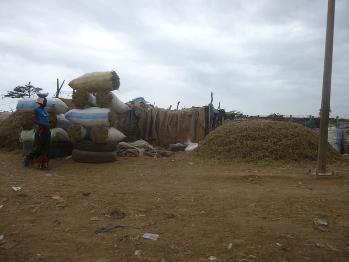  Vente De Foin (ngogne) - aliments pour animaux je posséde une grande quantiité de foin (ngogne) au sénégal a vendre a bas prix veuillez me contacter pour discuter sur le prix et le lieu de stockage merci