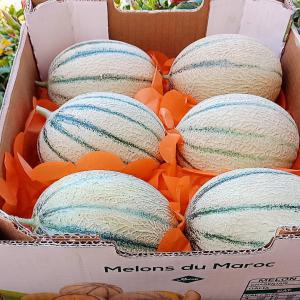  Fruit Fraiche - fruits et légumes --bonne jour  sociètè spècialisè en èxport des fruits est lègume vère l'europe est toute les pays du monde si vous ètes besoin de notre sèrvice mèrci de me contacter 