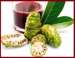  Jus De Noni - boissons non alcolisée cherche des clients ou revendeurs jus de noni.nous sommes sur madagascar. nous vendions également des jeunes plants de noni --
