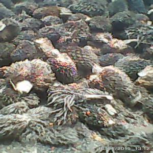  Huile De Palme - huiles  je cherche pour le compte de mes partenaires fournisseurs d’huile de palme du bénin et nous sommes à la recherche des clients ou personnes intéressées par le commerce et l'exploitation de cette matière première.  je voudrais pour ma part collaborer avec tou