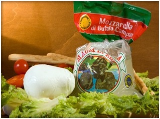  Mozzarella Pour Table -pizzeria - lait et produits laitiers  produits par une de plus excellentes industries italiennes avec une experience de dizaines d'annèe dans le secteur. l a qualitè de ces produits est connue aux quatre coins du monde ou nous exportons avec succes et grande satisfaction de nos clients mozzarella pour la table et dans un 