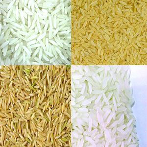  Riz D'asie Du Sud-est - céréales nous commercialisons du riz produit dans les pays d asie du sud-est et notamment de birmanie,  du cambodge,  de l indon&eacute;sie,  de malaisie,  des philippines,  de thaïlande et du viet nam.----le riz est conditionn&eacute; dans des sacs de 25-50 kg.--la livraison se fait directement au port du pays d