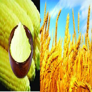  Farine De Blé Et Semoule De Mais - céréales nous commercialisons trois types de farines de bl&eacute;  ainsi que de la semoule de maïs et du pop corn-----farine de bl&eacute; 45--farine de bl&eacute; 55--farine de bl&eacute; 65--semoule de maïs--origine des produits - afrique,  europe,   am&eacute;rique du sud,  usa,  russie--la farine est condit