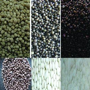  Angrais Uree - semence graine plant nous commercialisons divers types d’engrais---dap,  kcl,  npk et uree--ces engrais peuvent etre  conditionnés et livrés dans des sacs de 50kg ou des big bag de 500 kg/600 kg.--la livraison se fait directement au port du pays du client (cfr ou cif).