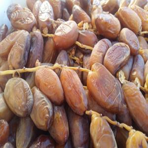  Datte Tunesien Classe - fruits et légumes une bonne qualite en premier choix de dattes deglet nour tunesienne ,  prette a l'export  ,  avec bon prix et garantir la qualite 