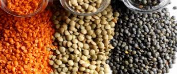  Lentilles Du Canada - fruits secs et graines grillées bonjour,  ----entreprise canadienne propose des lentilles canadienne de tout types et de qualité supérieur,  on cherche des clients sérieux est quand peux bâtir une affaire a long terme. ----salutations, 