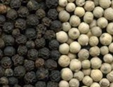  Poivre - épices aromates bonjour je vous propose---poivre noir-- --  description du produit--type 1---- masse volumique 550 g / l min--- humidit&eacute; 13% max--- corps &eacute;trangers 0, 5% max-- --type 2---- masse volumique 500 g / l min--- humidit&eacute; 13, 5% max--- mati&egrave;res &eacute;trang&egrave;res 1% max----m