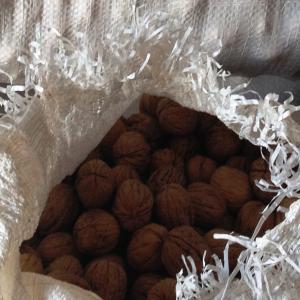  Noix Chandler - fruits secs et graines grillées disposons de 10 tonnes de noix entières variété chandler excellente qualité calibres 30-32 / 32-34 / 34-36 ou >36. prix fob buenos aires ou importé france. prix cif ou ddp sur demande. merci de préciser calibres souhaité,  port ou lieu de livraison. ce