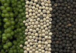  Poivre Noir Et Blanc Poivre Vendre - épices aromates  cher monsieur/madame, ----nous avons de bonne qualité noir poivre et blanc poivre pour vendre avec la spécification ci-dessous. nos prix sont hors pair---- ----noir poivre---- ----500g/l et 550g/l----emballé dans 50-60 kg sac----bonne qualité et prix---- ----noir poivre 5