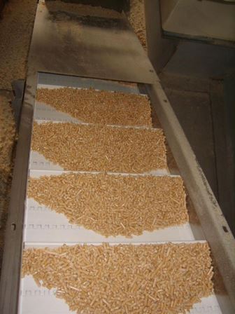  Pellets Business Proposal For Germany - renewable energy company  energyforests  is engaged in the sale enplus a-1 and  din plus wood pellets made from spruce,  pine.--we offer- pellets from coniferous trees,  6 mm in diameter,  bright,  without additives.--the product price-                                                                       --packing- big