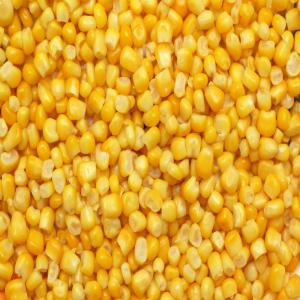  Vente De Mais Jaune Seche Grande Quantite - céréales nous sommes une structure specialisee dans le negoce de la commercialisation des produits agricoles et  mettons a votre disposition une grande quantite de mais jaune bien sec pour la saison 2015 livre abidjan quantite disponible