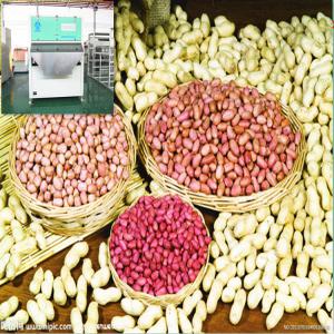  Machine De Tri Par Couleur Cacahuète/arachide - matériels machines les trieuses de couleur à arachide  peuvent décoller les différents grains défectueux,  par exemple,  des graines d'arachide dans le moule,  des arachides avec bourgeon,  des arachides en coques etc. pour les arachides blanchies,  qu'ils soient sec ou humide,  les  trieurs de c