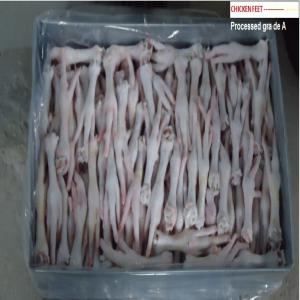  Frozen Processed Chicken Feet /chicken Paws - viandes et oeufs ste multinational productrice et de transformation de chicken feet et chicken paws en tunisie, cherche un client fidel, serieux, et capable denter avec nous dans un contrat a long term pour l approvsionnement du pieds et pattes de poulets, grade a , grammage poule chiken feet 40 gr et pour le pwas 30 gr, 