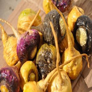  Maca Naturel De Haute Qualité - matiere vegetale notre soci&eacute;t&eacute; propose du maca haute qualit&eacute;,  100% naturelle cultiv&eacute;,  &agrave; plus de 4000 m&egrave;tres d'altitude,  au coeur d'une r&eacute;gion pr&eacute;serv&eacute;e de toutes pollutions,  dans le nord du yunnan. nous proposons aussi bien du maca jaune,  violet ou noir, 