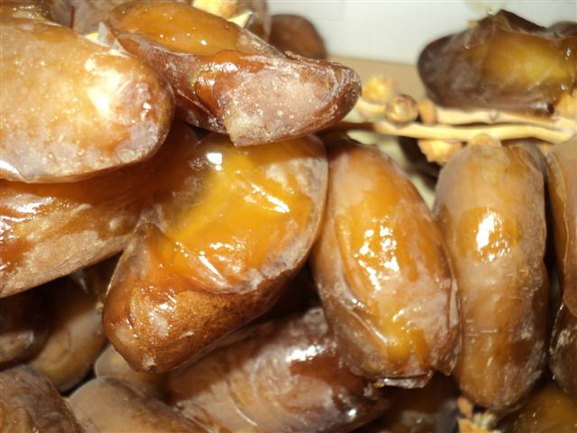 DATTES DEGLET NOUR TOLGA ALGERIE NOUVELLE - France - EspaceAgro