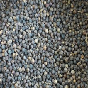  Poivre Noir De Haute Qualité Du Vietnam - épices aromates nous fournissons les poivres noirs avec les spécifications suivantes ---** poivre noir 500gl propre--densite - 500gl--humidite - 12%--matières etrangères - 0.2% max--** poivre noir 500gl faq--densite - 500gl--humidite - 13.5%--matières etrangères - 1% max--** poivre noir 550gl propre--densite