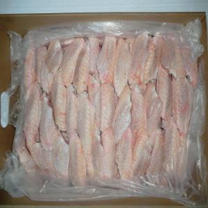  Ailerons De Dinde En Déstockage - viandes et oeufs vends pour l'export ailerons de dinde en carton de 10 kg d'origine tunisienne disponible en vente à un très bon prix.
