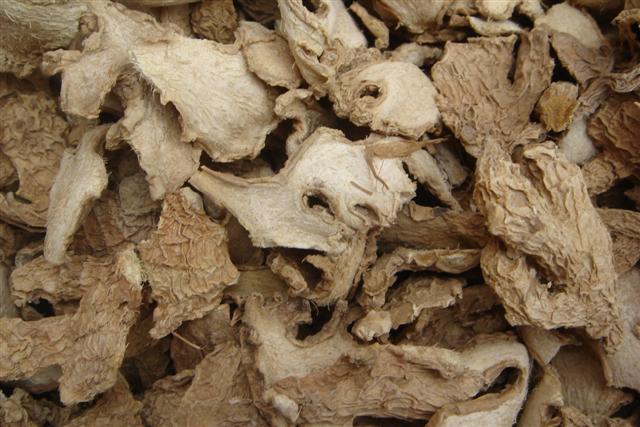  Gingembre Seche De Cote Ivoire - épices aromates nous sommes des producteurs de gingembre installes dans l est de la cote d ivoire.nous avons un produit bio ,  tres epices et de bonnes qualite.--nous recherchons des acheteurs pour un contrat sur et a long terme.--pour plus de details contactez nous
