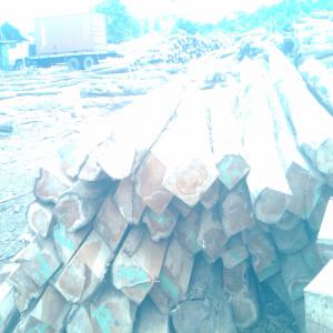  Les Vrais Madriers De Afrique - wood charcoal fiber je dispose des bois de madriers en quantités enorme destiner pour la vente .je suis à la recherche des cliens chinois ou autres pour efectuer  mes ventes