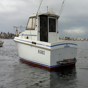  Bateau De Pêche Et Promenade - equipement maritime vends un antares 800 de 8m,  avec moteur volvo 200cv--vedette très polyvalente qui convient pour la peche ou pour une croisière.----l'antares 800 bénéficie d'une stabilité en mer(idéal pour la peche),  l'antares a était très bien conçu au 