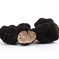  Nous Livrons Truffes Noires Fraîches - champignon levure nous sommes une société d'exportation bulgare de truffes et champignons sauvages. nous pouvons livrer actuellement les frais truffes d'été noire ( tuber aestivum ).pour plus d'informations et de détails s'il vous plaît entrer en contact avec nous
