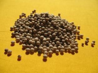  Poivre Blanc, Noir, Vert (brut Et En Poudre) - épices aromates le poivre de penjab  ou de penja,  ou poivre des oiseaux est un poivre rare par excellence,  sa culture et surtout son exportation reste compt&eacute;e. quelques tonnes par an seulement sont export&eacute;es du cameroun. --cueillis &agrave; pleine maturit&eacute;,   le poivre est  tritur&eacute; afin d