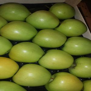  Pomme Golden - fruits et légumes nous avons pommes golden d'origine italienne meilleur qualit&eacute; que vous pouvez trouver et &agrave; prix comp&eacute;titif merci de nous contacter pour plus d'informations. 