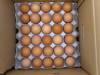  Vente Oeufs Frais De Table - viandes et oeufs nous offrons un bon œufs de poules élevées de qualité sont riches en nutriments et sont une composante très abordable d'une alimentation saine. ceux-ci contiennent des protéines de haute qualité et tous les neuf acides aminés essentiels. ils son