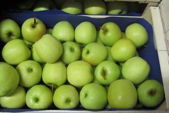 Pomme Verte 9 30 Colis 13kg Fob 1344 Caisses Conteneur 40 Pieds Vrac 13kg Gabon Grossiste Recherche De Client Espaceagro