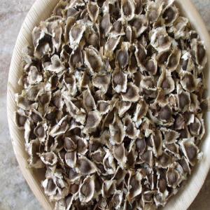  Graines De Moringa - fruits secs et graines grillées nous sommes une société (sarl) régulièrement enregistrée,  spécialisée dans la vente des graines de moringa recherchons d'acheteurs sérieux et crédibles de nos produits
