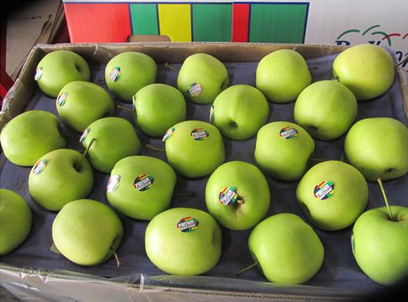  Pomme Golden - fruits et légumes offre pomme variété golden,  provenance de france,  calibre cal 100/112/126,  conditionnement vrac 13kg- 1176 colis sur 21 palettes par 40’ctr eta semaine 39. fob le havre ou anvers.