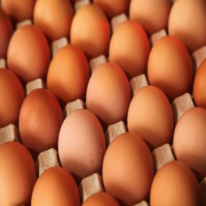  Eggs For Sale - meat and eggs eggs are available in various sizes,  including--40 - 45 grams--45 – 50 grams--50 – 55 grams----30 eggs laid in a tray--12 such trays in a ply carton--360 eggs in a carton--1312 carton in 40 ft reefer container--4, 72, 320 eggs per 40 ft reefer container