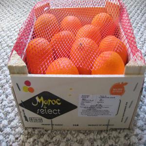  Clementines From Morocco - fruits and vegetables we export clementines from morocco to all country,  we produce all varities including currently seedless,  price fob agdadir/casablanca,  price 790 usd/mt,  payment terms- 80% swift advance 15% against docs and 5% after receipt of goods; calibers 1/2/3 should be order in advance of clementine 6 months s