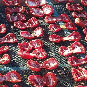  Vente De Tomates Séchées - fruits et légumes nous sommes une soci&eacute;t&eacute; d'import et export, nous avons actuellement une quantit&eacute; de 40tonnes de tomates s&eacute;ch&eacute;es destin&eacute;es &agrave; l'export &agrave; 2.4 euro/kg fob.