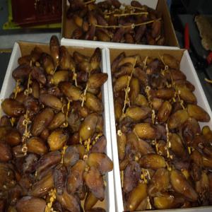  Dattes Tunisienne Naturelle - fruits et légumes export le dattes 1 cat--dattes tunisienne naturelle 500 g-1kg-2kg--dattes ravias --dattes conditionne    
