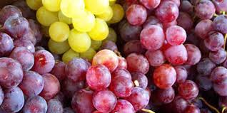  Raisin Du Maroc - fruits et légumes on cherche des importateurs de fruits et légumes du sénégal pour envoyer a dakar une quantité de raisin marocain de meilleur qualité avec un prix très bas.----1, 6 euro/kg--minimum quantité 10 tonnes 