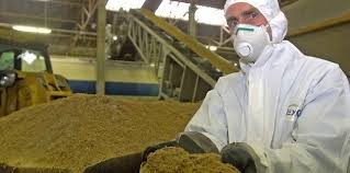  Farine De Poisson - aliments pour animaux des poissons fraîches péchés sur place ,  sont produites des farines de poissons obtenues par séparation de la phase liquide (eau et lipides,  extraite par cuisson/pressage) et des protéines (75%),  puis par broyage et séchage,  elles sont riches en protéi