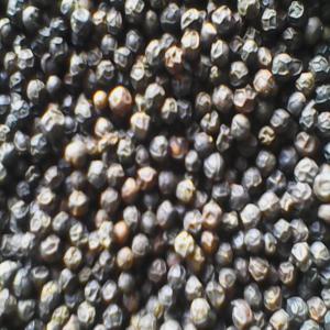  Poivre Noir - épices aromates on peut vous fournir du poivre noir de madagascar de qualité.  nous adresser directement par mail votre commande si vous etes intéressé,  ou plus d'information.--cordialement