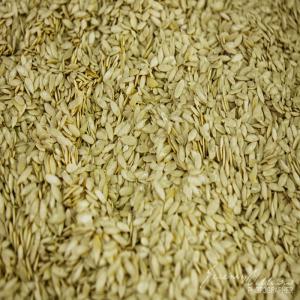  High Quality Agricultural White Melon Seeds - roasted seeds and nuts specifications----snow white pumpkin seeds --size-11cm, 12cm, 13cm --moisture-9% max --admixture- 0.5% max----snow white pumpkin seeds --size-11cm, 12cm, 13cm --moisture-9% max --admixture- 0.5% max --imperfect snow white pumpkin seeds-2% max----snow white pumpkin seeds----size-10cm, 11cm, 13cm and others