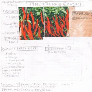  Mangues, Gombo,haricots Verts Et Piments Frais - fruits et légumes bonjour mes chers,  je cherche un ou des partenaires dans le monde sur le fuits concerner dans l'annonce. d'origine mali contacte par mail en premier temps,  camara fruit mali reste et restera a votre dispositions photo des produits disponible sur demande