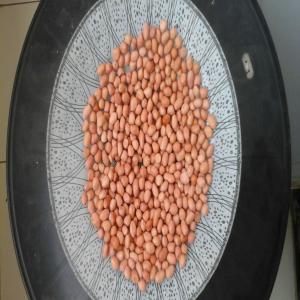  Arachide Du Sénégal - fruits secs et graines grillées bonjour--nous sommes fournisseur d’arachide décortiqué et non décortiqué du sénégal. nous pouvons vous fournir sur place ou livré à dakar la quantité demandée.