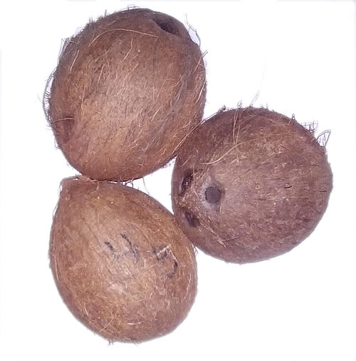 Noix de coco - fruits et légumes nous disposons de noix de coco naturelles de calibres a et b.--quantité - 280000 noix.--conditionnement - calibre a - 40 noix par sac dont 47 sacs par palette,  calibre b - 50 noix par sac dont 50 sacs par palette. un total de 22 palettes par container de 40 pieds.--tarif - 0.23€ la noix