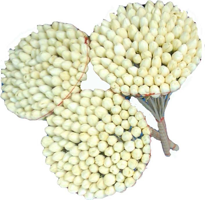  Cherche Exportateur De Machmoum Fleurs Jasmins En - autres cherche un exportateur des bouquets de machmoum tunisien en jasmin ou fell pour exportation canada montreal quantité + 20.000 par jours