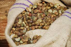  Cashew Nuts For Sale - roasted seeds and nuts we are ready to export cashew nuts 2016 crop .we are looking for reliable buyers of new crop for next year contactus for more details.