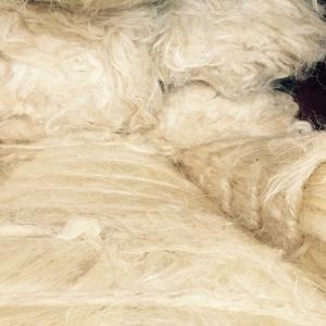  Filasse De Platre, Ug Grade Meilleur Prix - autres bonjour, --nous proposons de la fibre de sisal (filasse de platre) de qualité suppérieure (ug grade a),  à une tarification des plus alléchantes. avis aux interessés. 